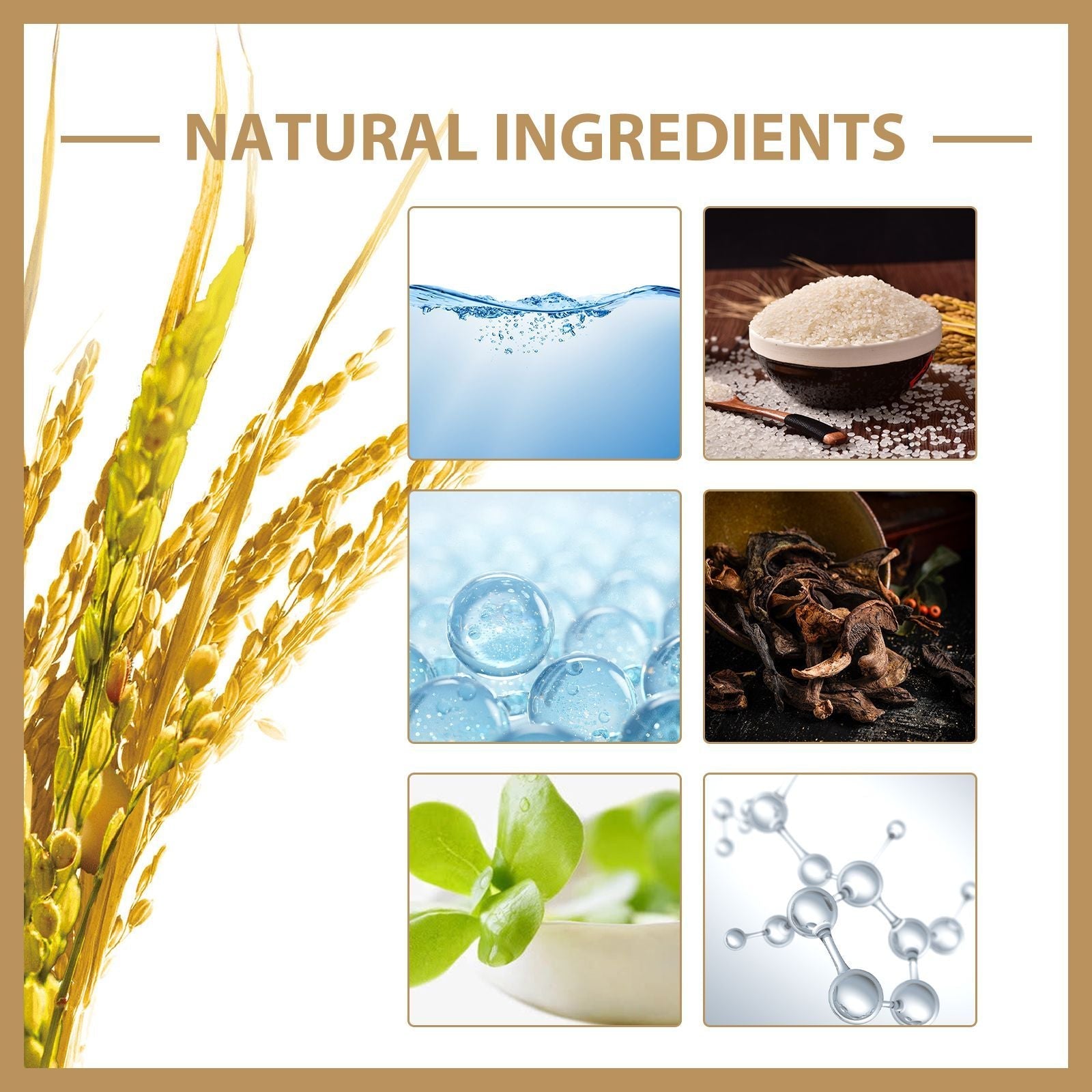 EELHOE Rice Toner SELFLOVECLUB