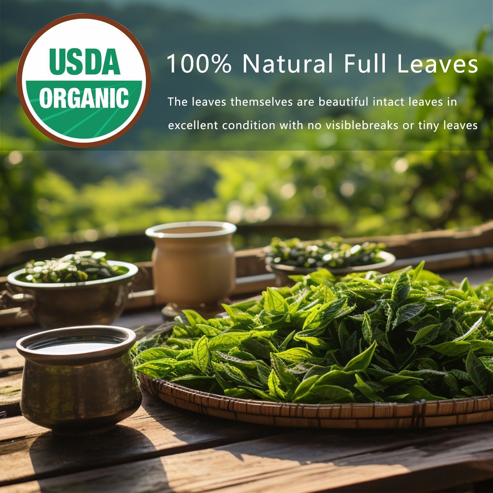 Detox Cleanse Tea Natural Herbal Tea Bags Oolong Leaf For Lung Cleanse Congestion Relief Herbal Detox Caffeine-Free Non-GMO Organic For Gut Health Immune Boost SELFLOVECLUB