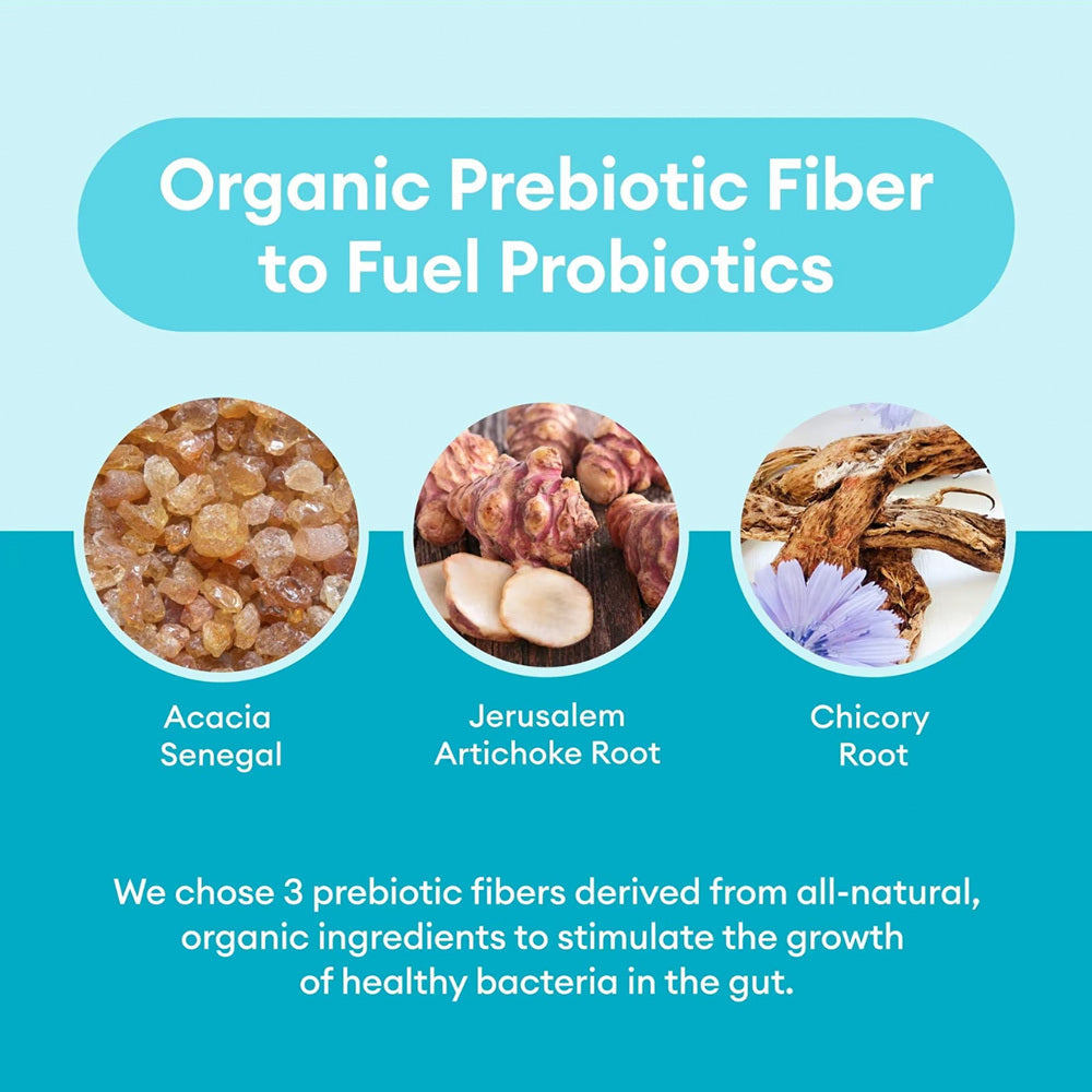 Probiotics 60 Billion SELFLOVECLUB