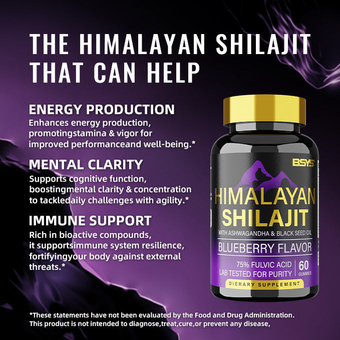 BSYS SHILAJIT GUMMIES 60&
