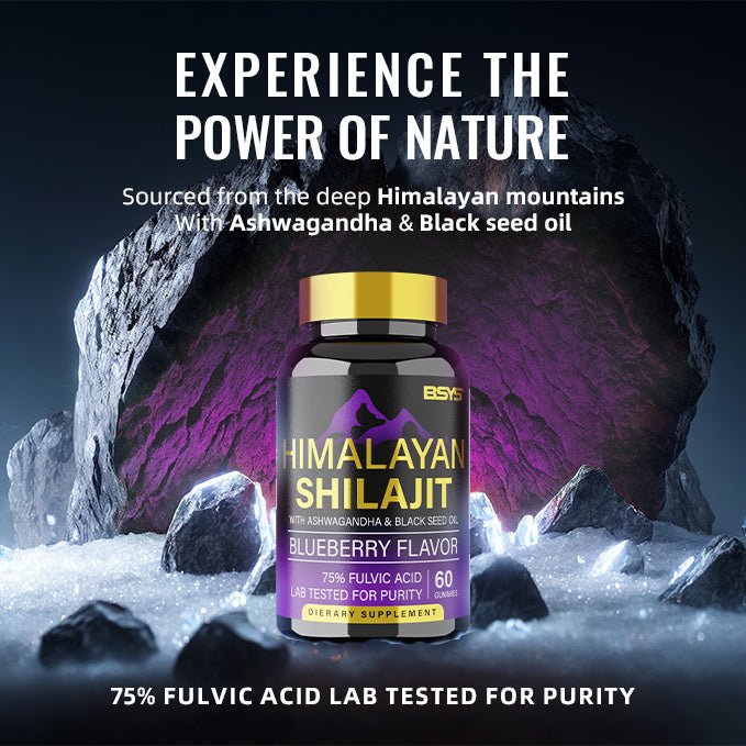 BSYS SHILAJIT GUMMIES 60&