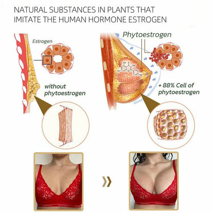 Papaya Supplement SELFLOVECLUB